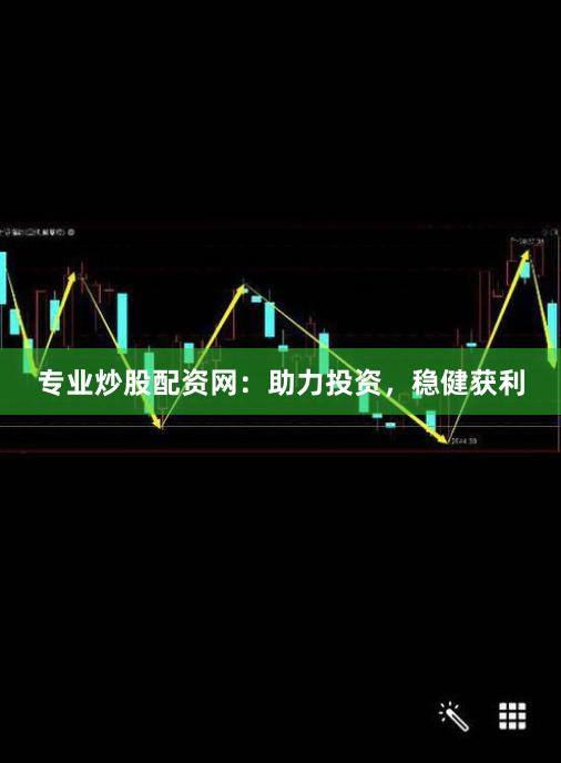 专业炒股配资网：助力投资，稳健获利