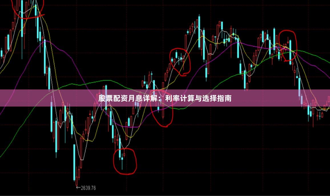 股票配资月息详解：利率计算与选择指南
