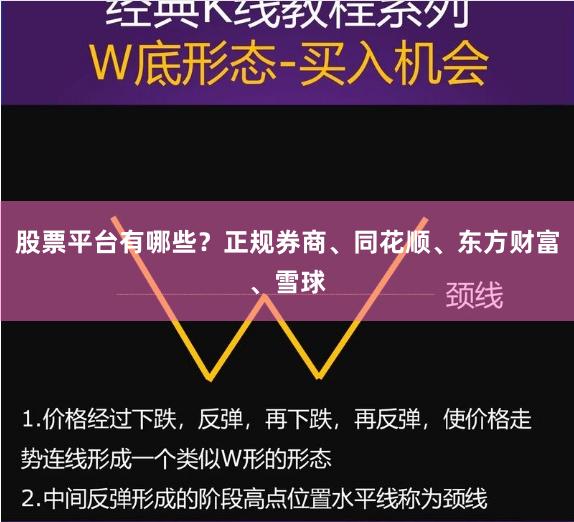 股票平台有哪些？正规券商、同花顺、东方财富、雪球